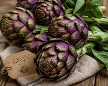 Carciofo Romanesco
