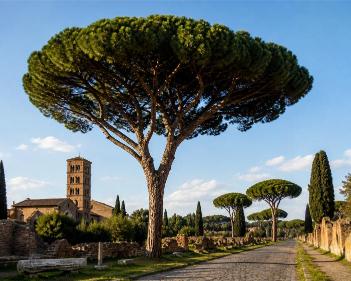 Parasolpijn Rome