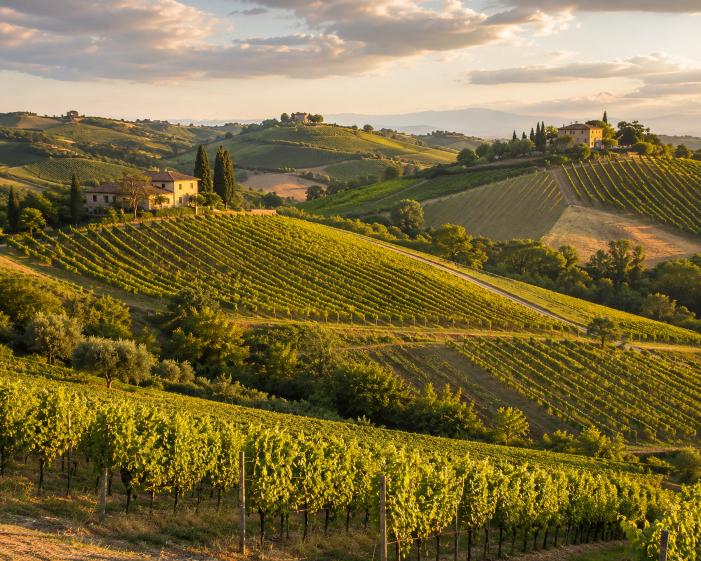 Jesi en de Verdicchio-wijngaarden in de Marche